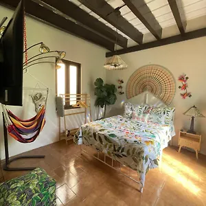 Apartment The Garden Apartment, The Willow Apartment, & The Tropical At Casa Of Essence In Old